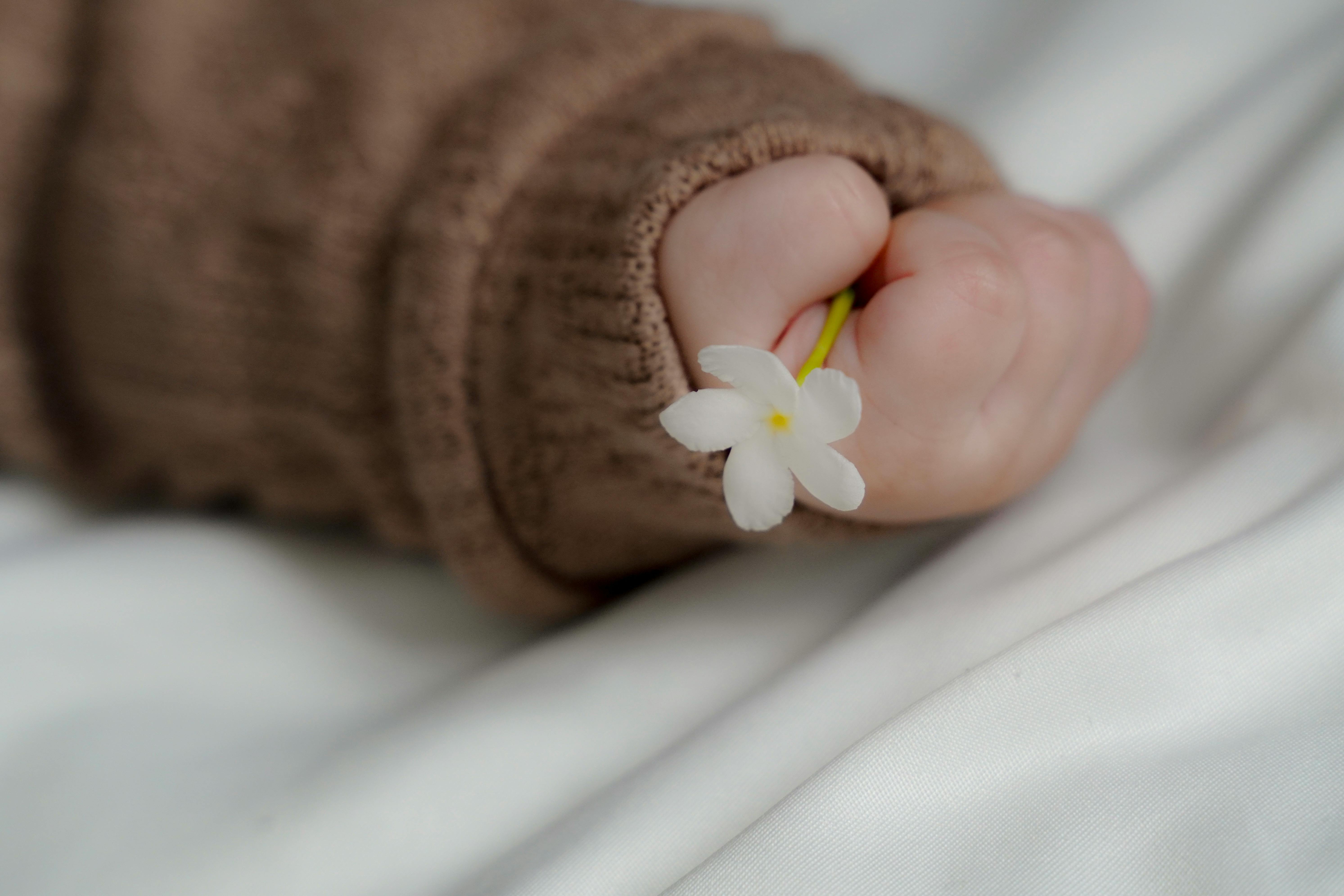 Pexels Phat Vo H T N 2151757041 32890759