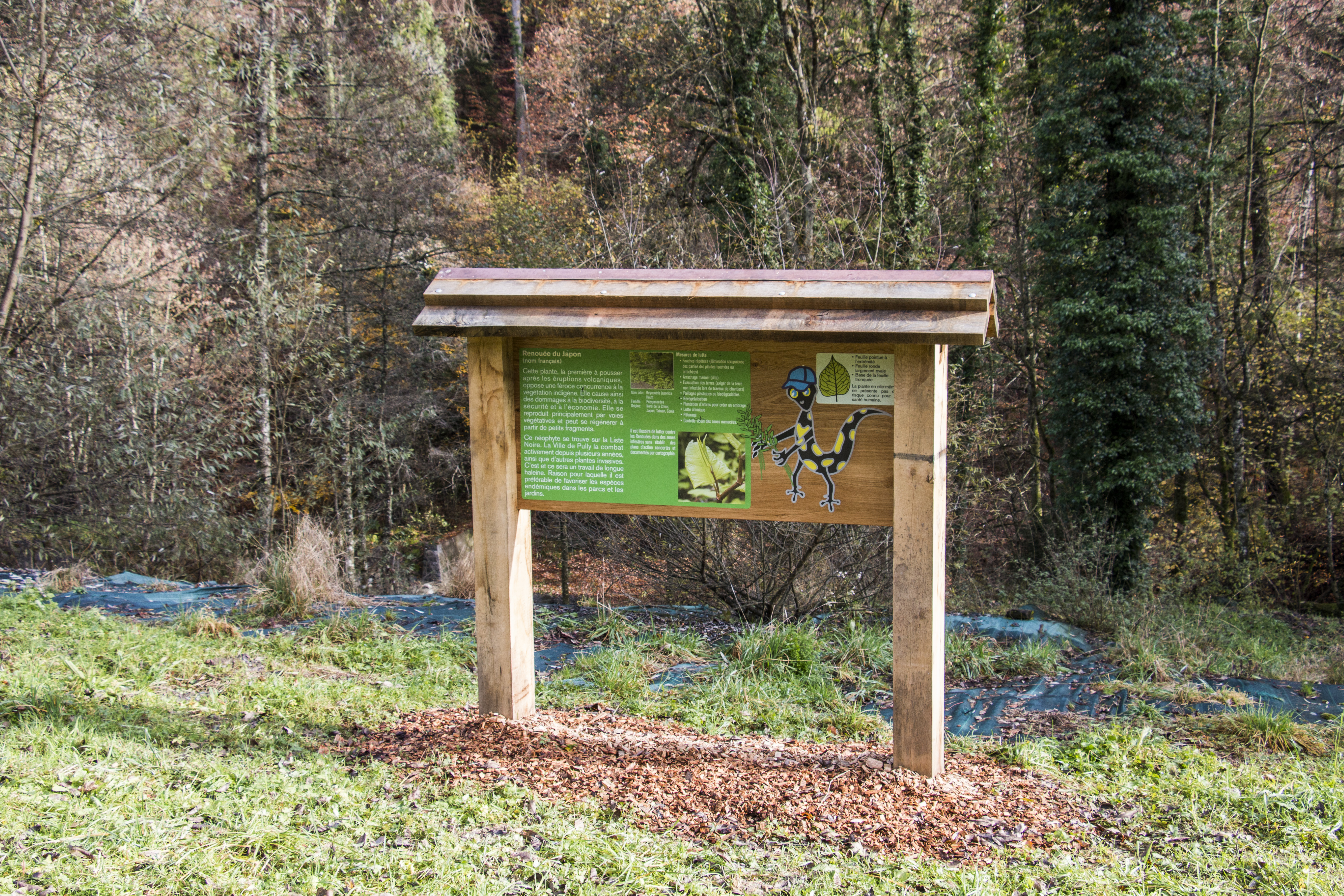 Sentier didactique 4