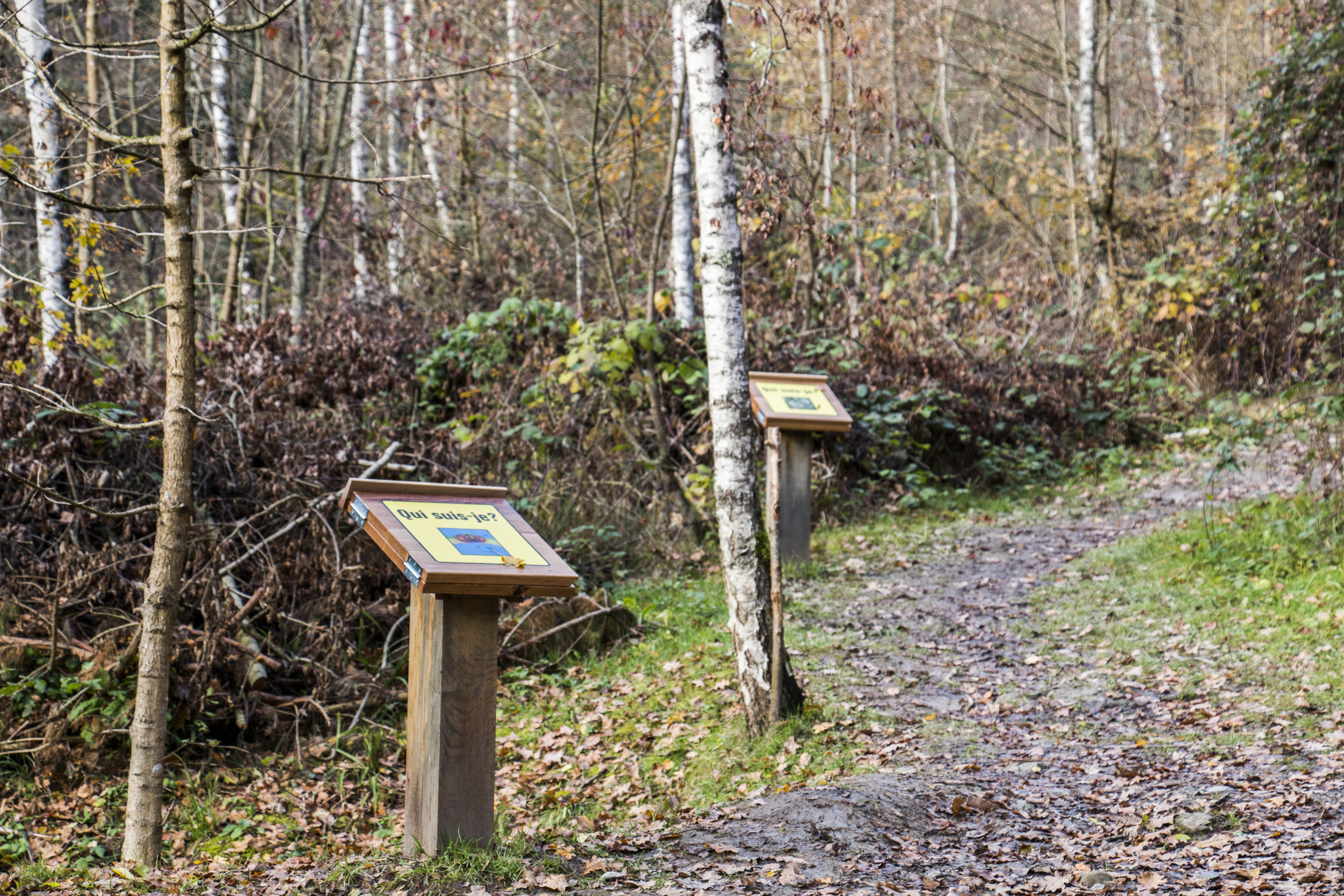 Sentier didactique 2