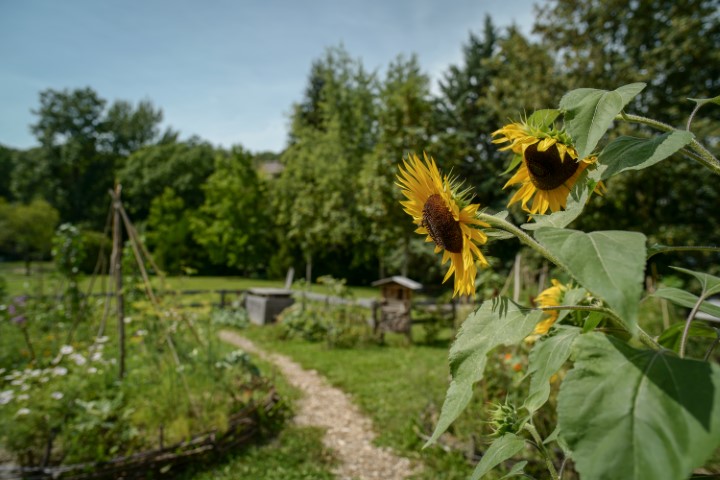 12082020 L1620824 (Petit)