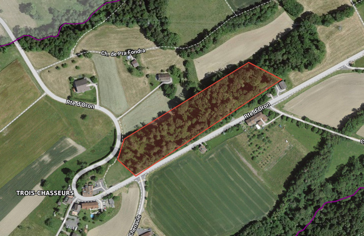 Délimitation de la zone de coupe de bois sur la parcelle communale bordant la route d’Oron