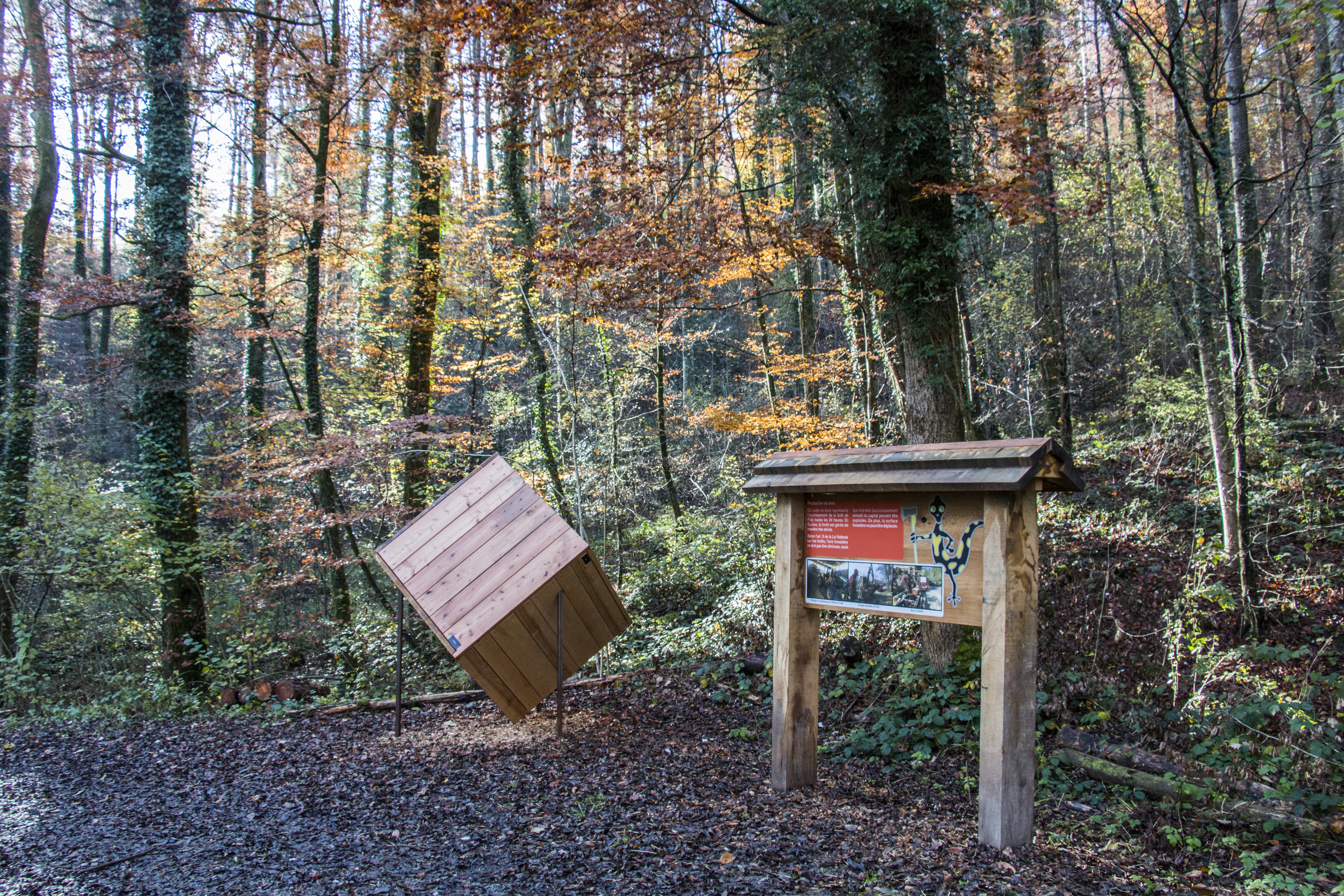 Sentier didactique 5